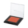 Powder Blusher 01